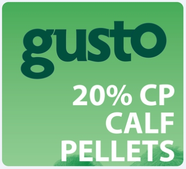 Gusto 20% CP Calf Pellets