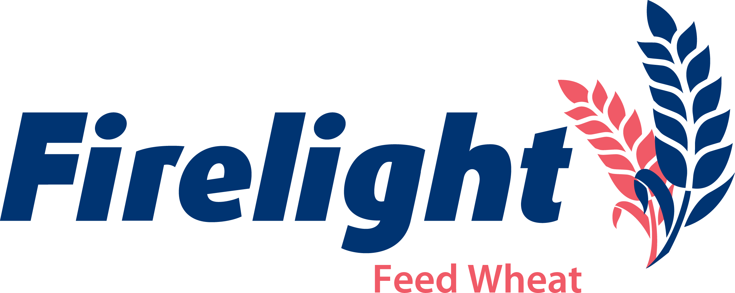 Firelight product logo