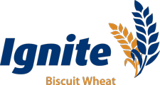 Ignite product logo