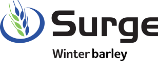 Surge product logo
