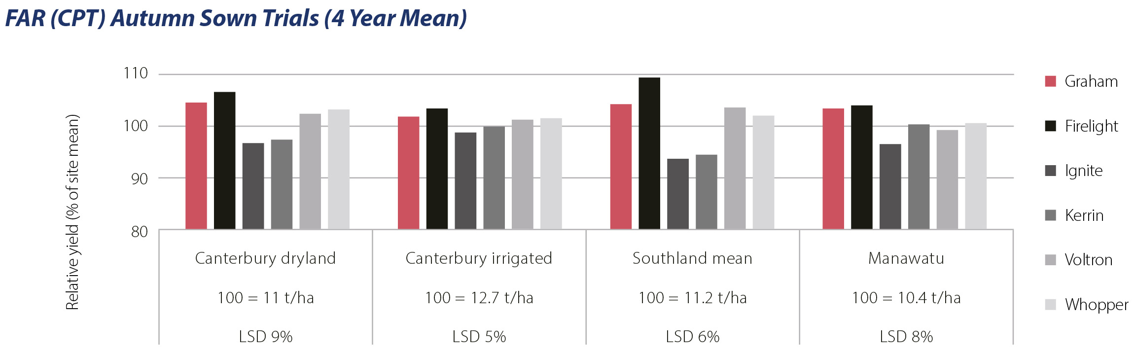 Graham Feed Wheat Cereal Seeds PGG Wrightson Grain
