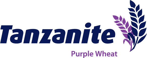 Tanzanite product logo